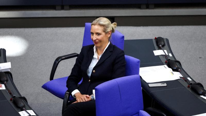 Germania, intelligence sospende la classificazione di Afd come partito estremista di destra