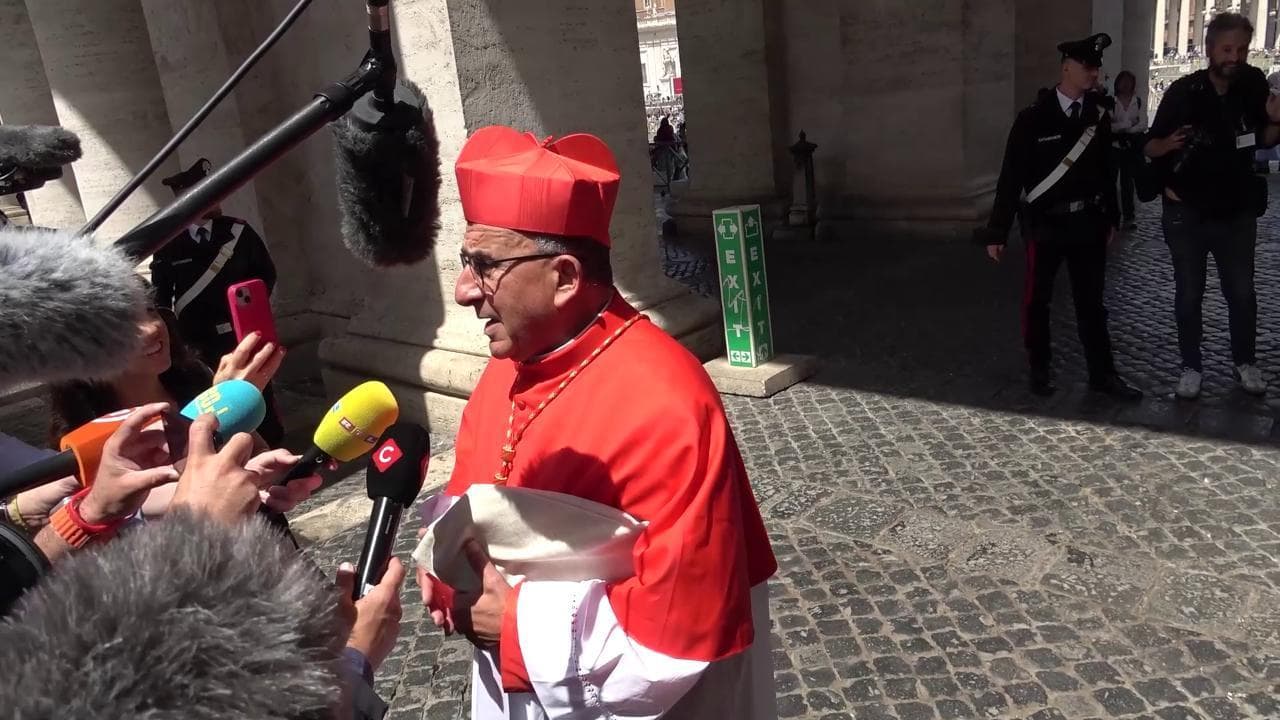 Papa Leone XIV, Cardinale Chomali: "È figlio di Sant'Agostino, ascolta molto e non parla tanto"