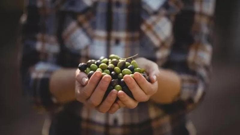Tra dibattiti e masterclass la cucina è protagonista