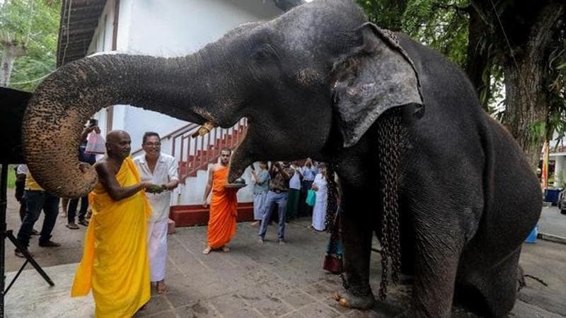 EPA/CHAMILA KARUNARATHNE