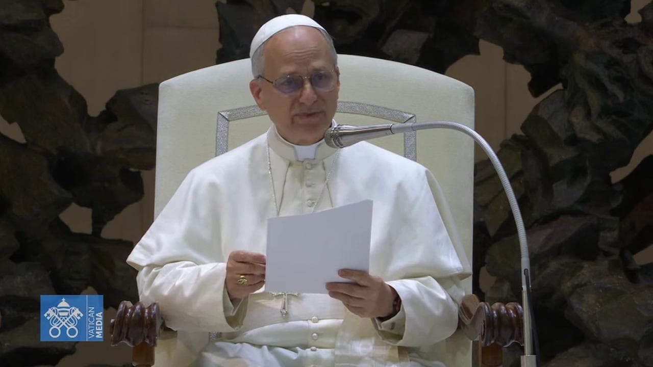 Papa Leone: "Tutti i miei sforzi per la pace. Negoziamo, la guerra non è mai inevitabile"