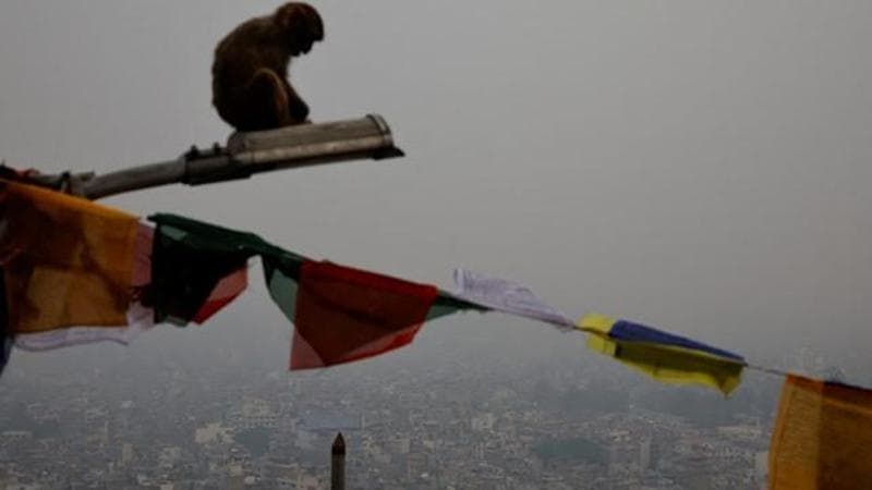 REUTERS/Navesh Chitrakar
