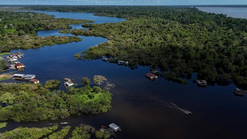 Brasile, una buona notizia: “La deforestazione rallenta”