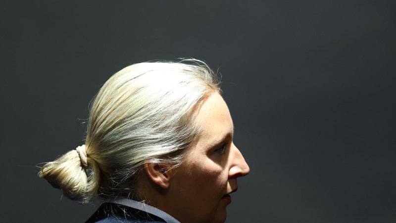 Alice Weidel (Afd)
