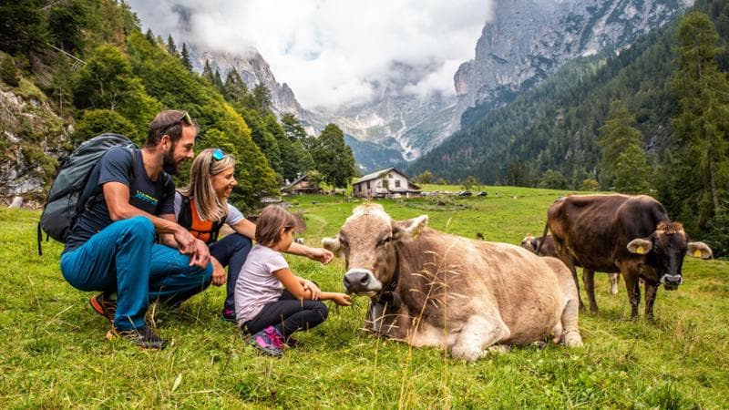 Trentino, Val Canali @ M. Gober