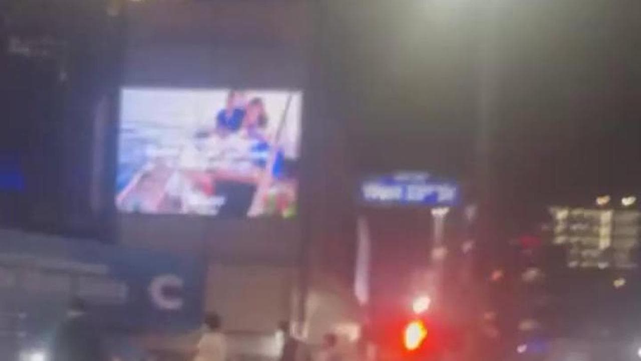 Timothée Chalamet scatenato dopo la vittoria dei New York Knicks: festeggia dall'auto con i tifosi