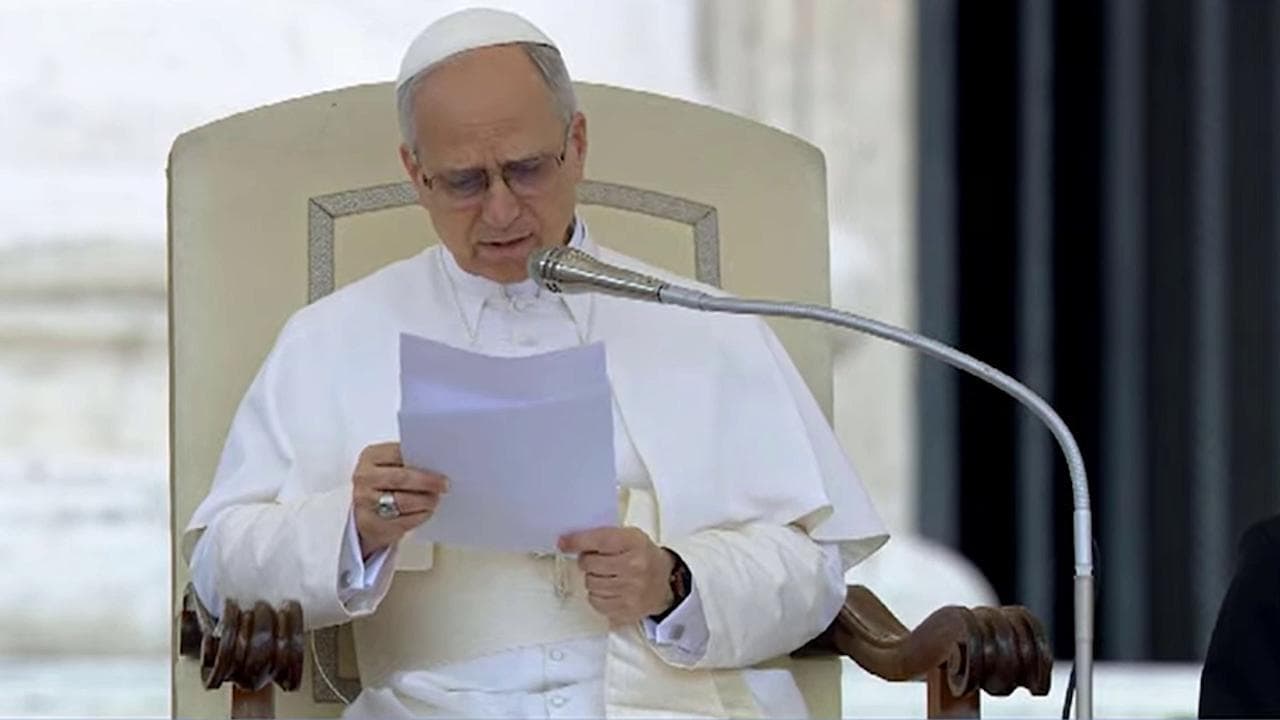 Papa Leone e il seminatore di Van Gogh: "Immagine di speranza, Dio muove la storia"