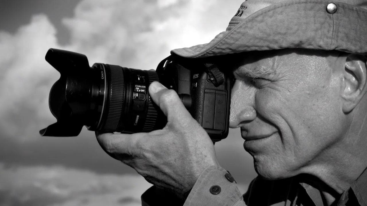 "Il sale della terra", l'omaggio di Wenders a Salgado