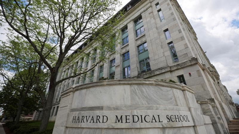 Attacco di Trump ad Harvard, il professore: “Ci levano i fondi e siamo trattati come criminali”