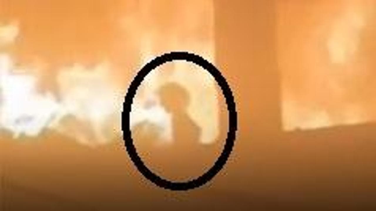 La piccola Ward, 7 anni, scappa dal fuoco a Gaza: strage in una scuola colpita dai raid israeliani