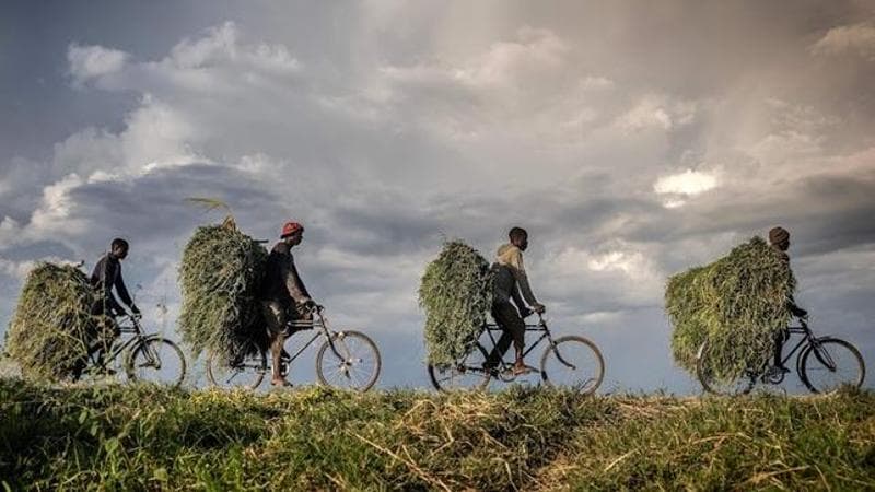 Luis TATO / AFP
