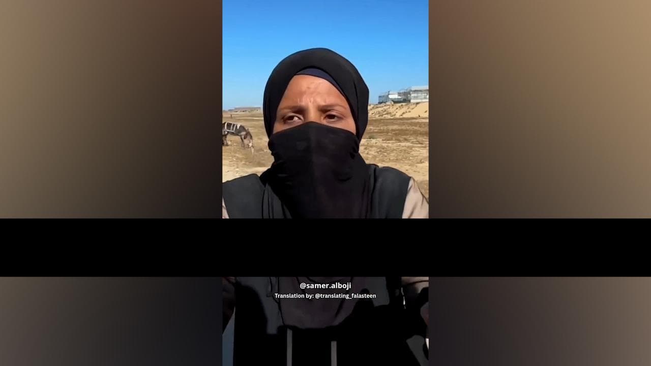 Gaza, una donna in fila per gli aiuti: "Trattati come cani, noi non siamo Hamas"