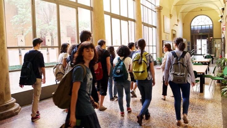 Maturità 2025, come funzionano i Pcto obbligatori: dalle ore da svolgere alla relazione per l’orale