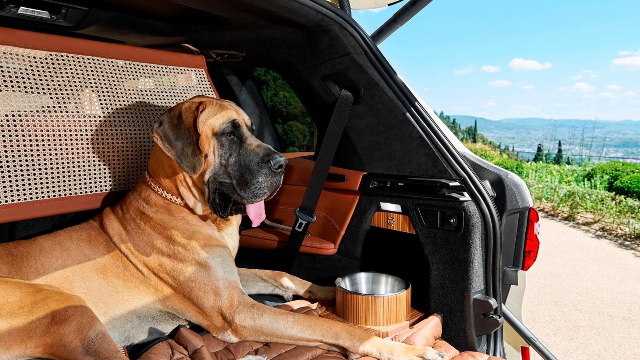 犬と猫と一緒に車で旅行します。これがそれらを快適で安全にするための最後のガジェットです