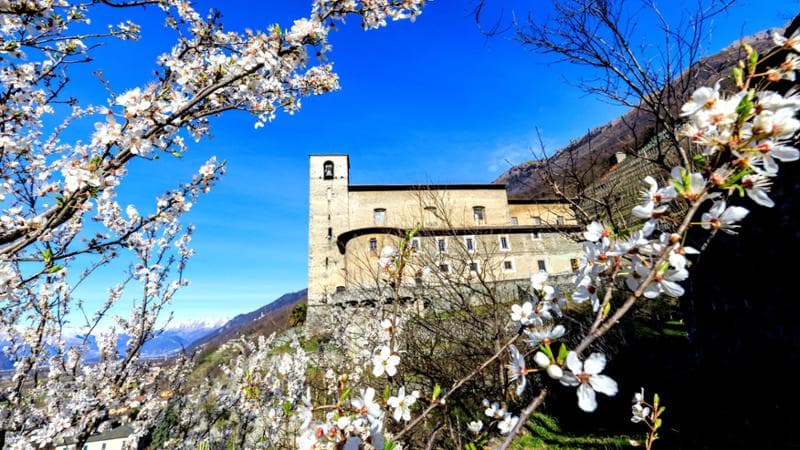 Traona. Chiesa di S. Alessandro