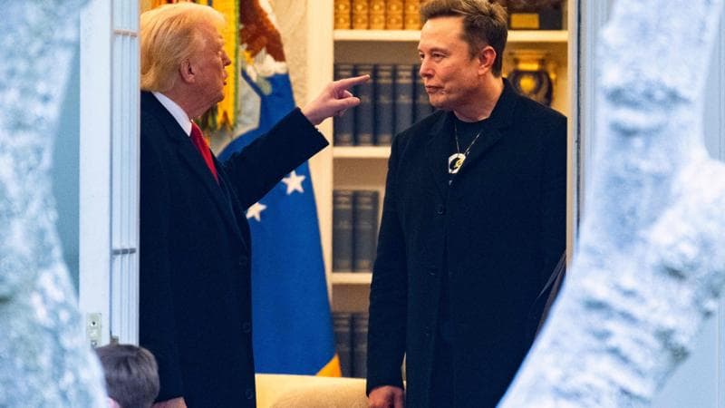 Gli otto modi in cui Trump e Musk possono farsi davvero molto male