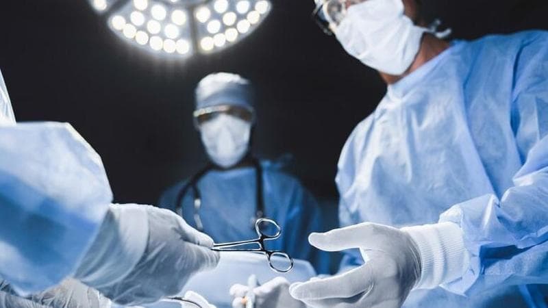 Vicenza, muore a 27 anni in un incidente stradale: dona gli organi a 12 persone