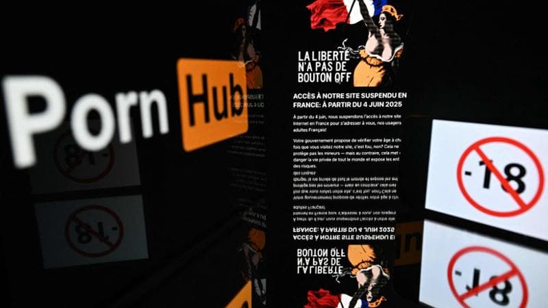 I vincoli al porno francese fanno volare la società svizzera che li aggira: più 1000% di iscritti