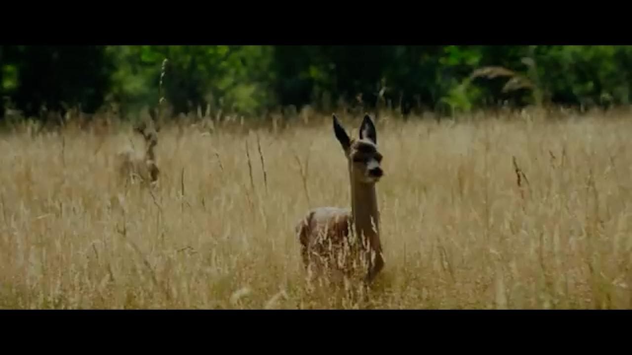 "Bambi, una vita nei boschi"  - trailer