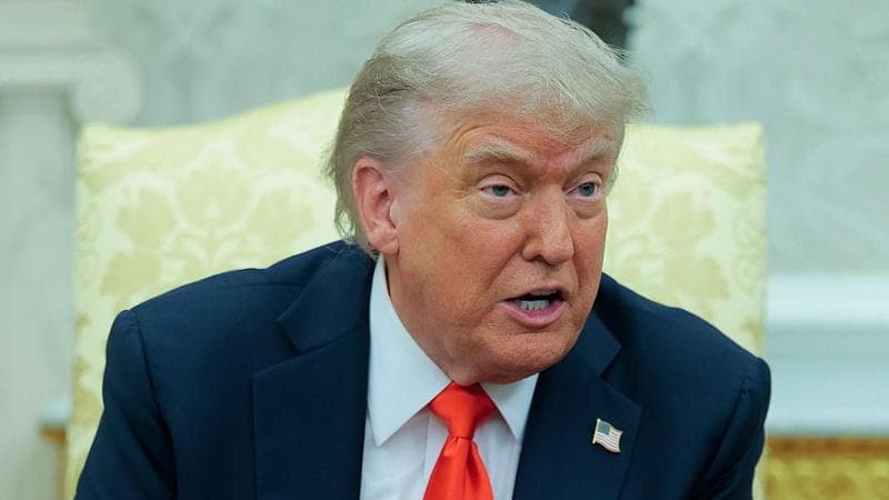 L’Europa ora può spingere il ritorno dei cervelli in fuga da Trump. Ma deve pagarli di più
