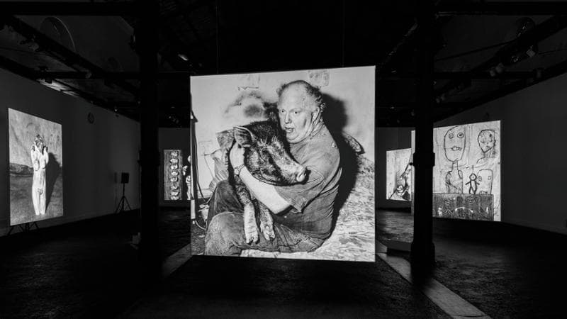 Le opere (fotografie e video) di Roger Ballen esposte nel Padiglione 9A dell&rsquo;ex Mattatoio di Roma per la mostra Animalism, in corso fino al 27 luglio
