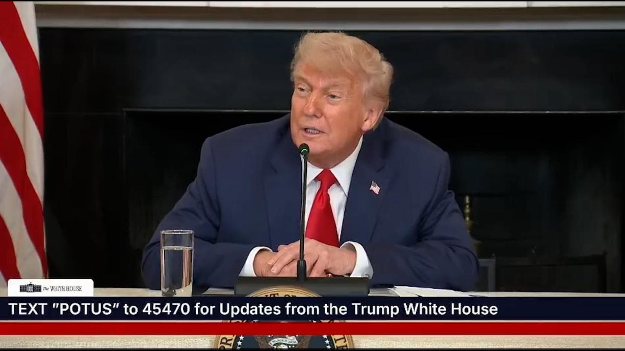 Il 'consiglio' di Trump a Greta Thunberg: "Dovrebbe frequentare un corso di gestione della rabbia"