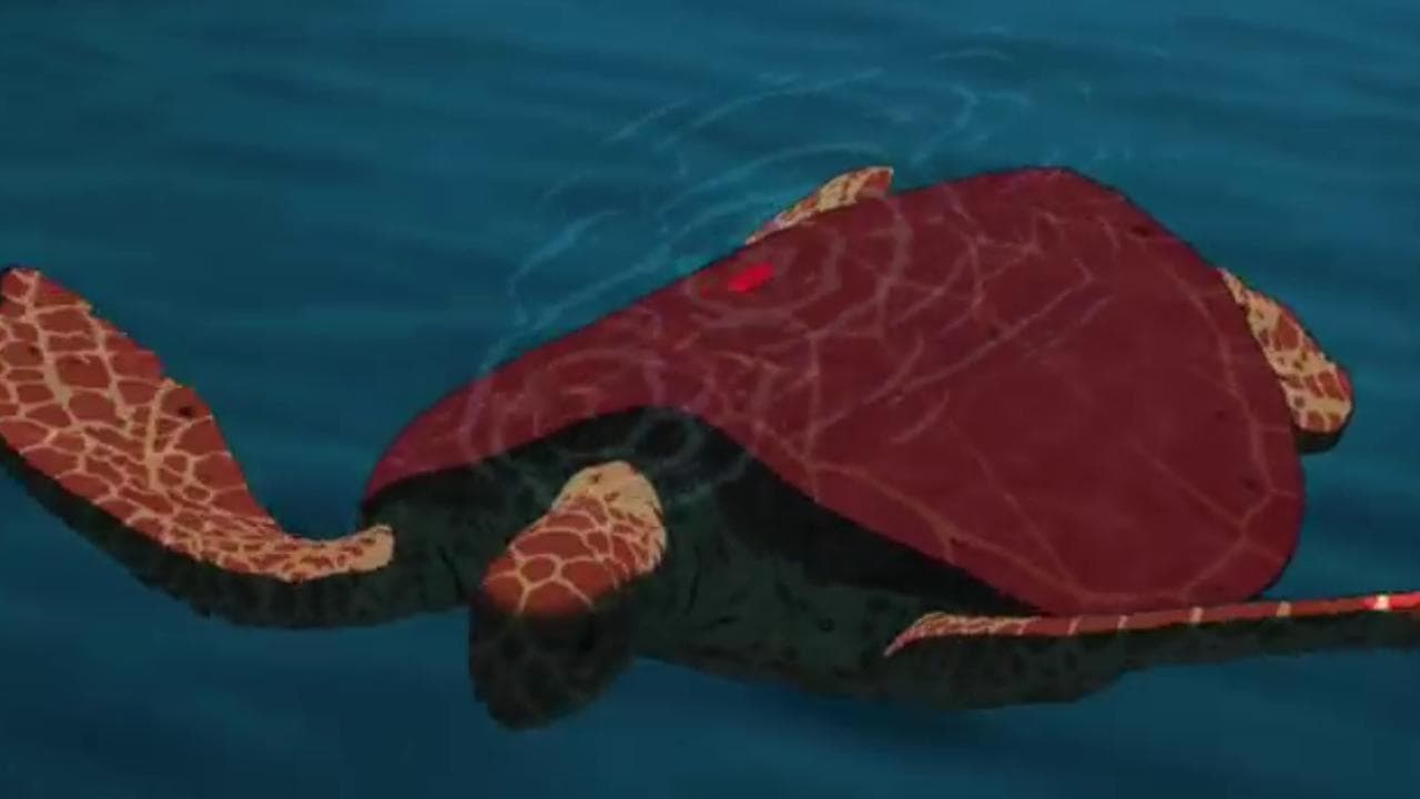 Il lunedì del cinema, in streaming il 21 luglio il film 'La tartaruga rossa'