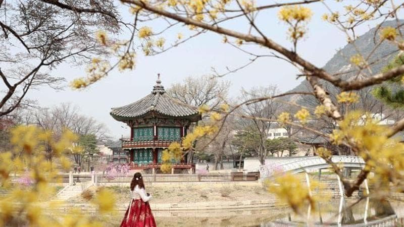 L'Estremo Oriente tra meditazione zen e avanguardie metropolitane