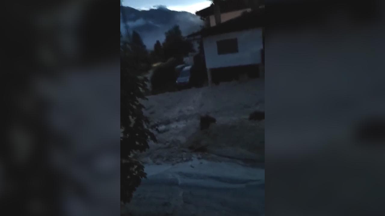 Veneto, frana a Borca di Cadore. La testimonianza: "Bloccata in casa dai massi"
