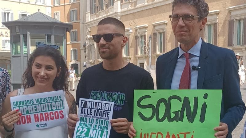 “Noi, imprenditori della cannabis trattati come narcos”