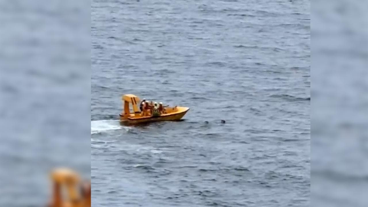 Florida: padre si lancia in acqua per salvare la figlia caduta in mare dalla nave da crociera