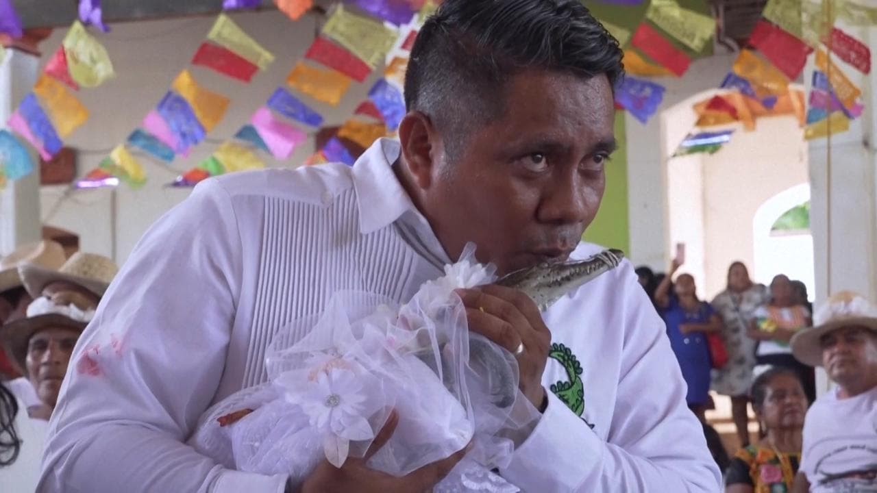 Messico, il sindaco "sposa" il caimano: il perché del rito che si ripete da oltre 200 anni