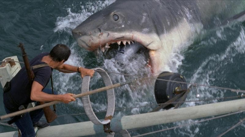 Lo squalo, 50 anni fa il primo blockbuster che cambiò la storia di Hollywood
