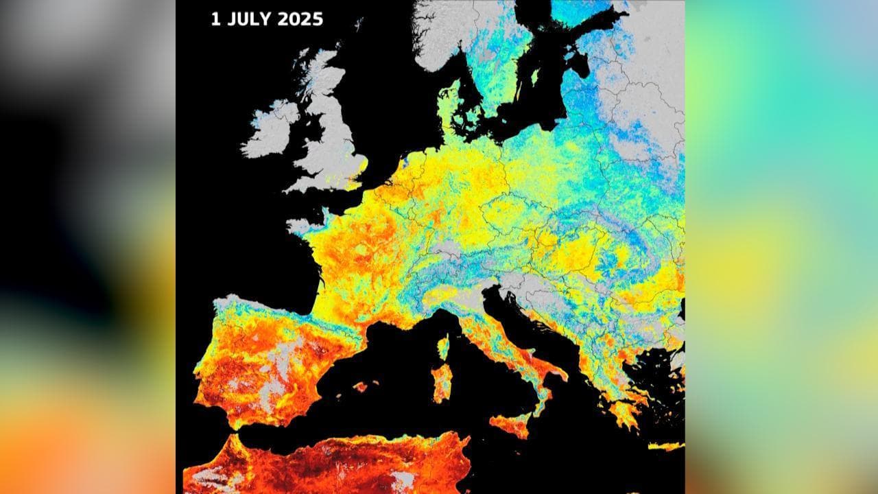 La settimana di fuoco dell'Europa: nell'animazione l'ondata di calore che attraversa il continente