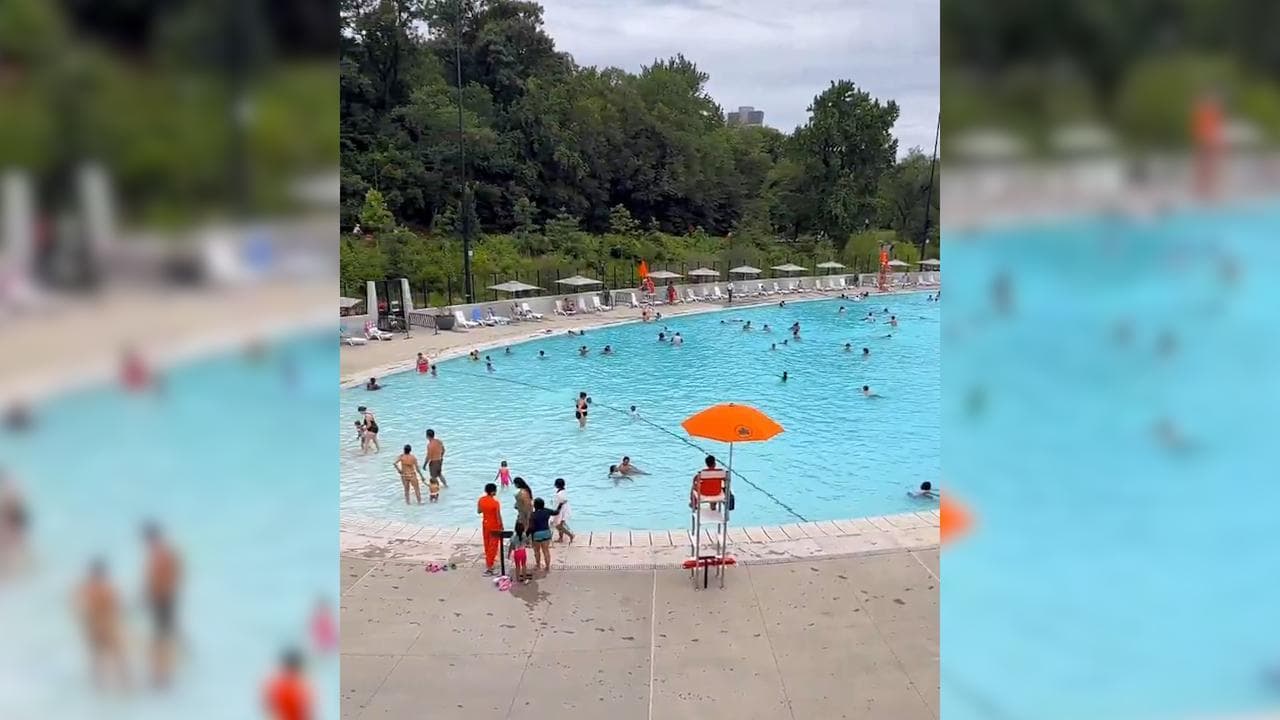 New York: a Central Park la piscina polivalente che si trasforma in prato e pista di pattinaggio