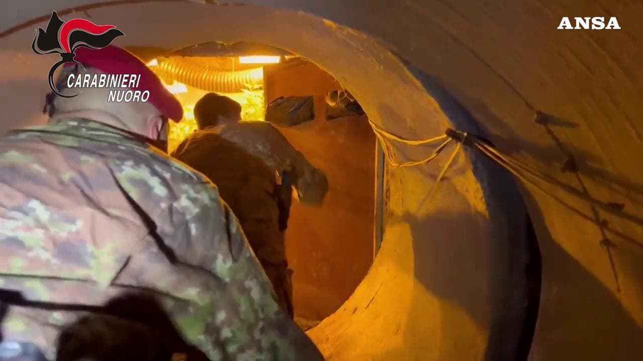 Sardegna - Piantagione di marijuana in un bunker sotterraneo a Gavoi: arrestati padre e figlio
