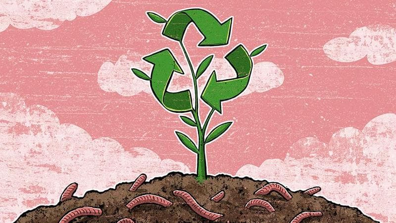 Il fertilizzante è ok se lo dice il lombrico
