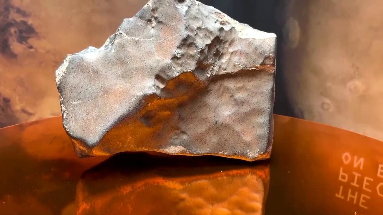 Un pezzo di Marte sulla Terra: venduto all'asta per 5,3 milioni di dollari