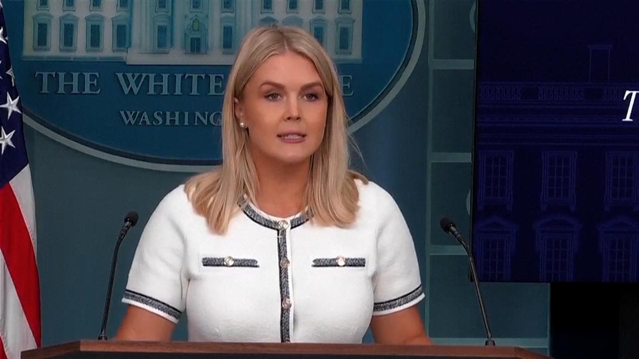 Lividi su mani e gambe di Trump, la Casa Bianca rassicura: "Una comune insufficienza venosa"