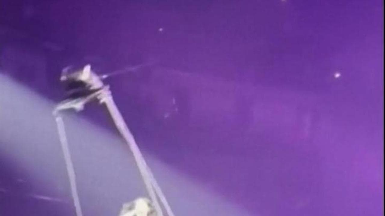 Katy Perry, brivido durante lo show: "vola" sul pubblico ma un cavo cede e rischia di cadere