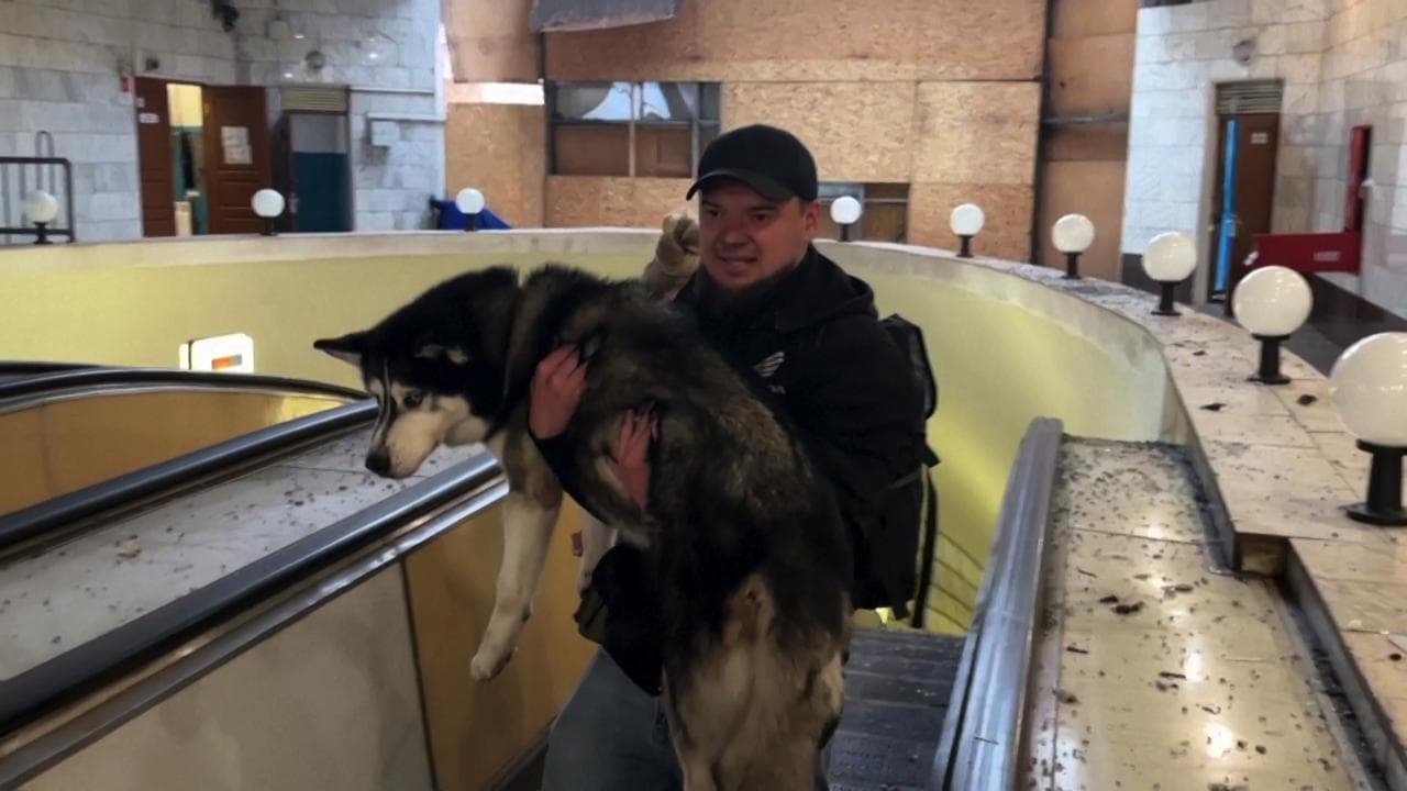 Kiev, notte nei rifugi per umani (e animali): droni e missili colpiscono la capitale dell'Ucraina