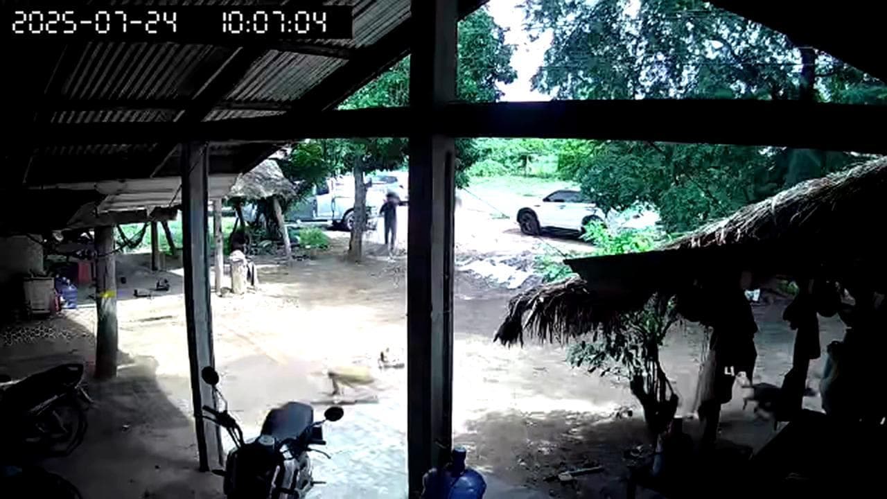 Boati al confine tra Thailandia e Cambogia: animali e persone fuggono per i colpi di artiglieria