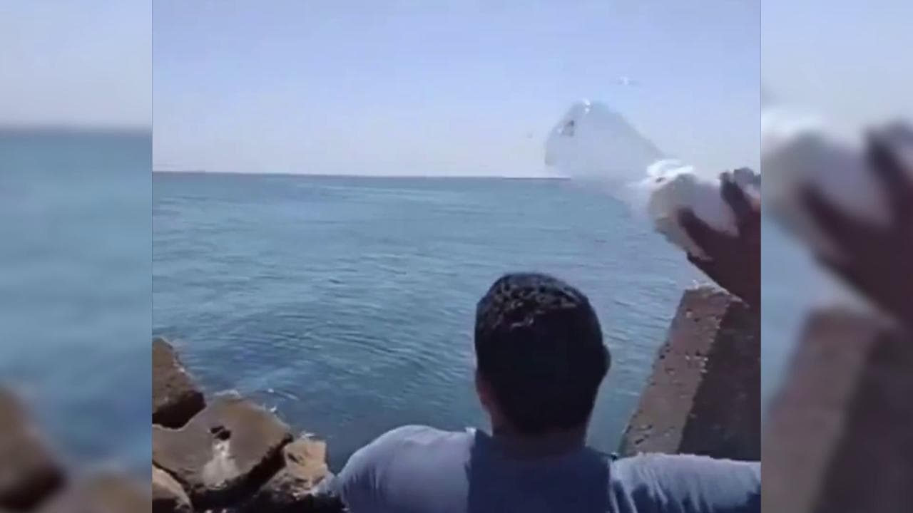 Gaza, cibo in bottiglia: dall'Egitto i lanci simbolici (e disperati) per inviare la farina via mare