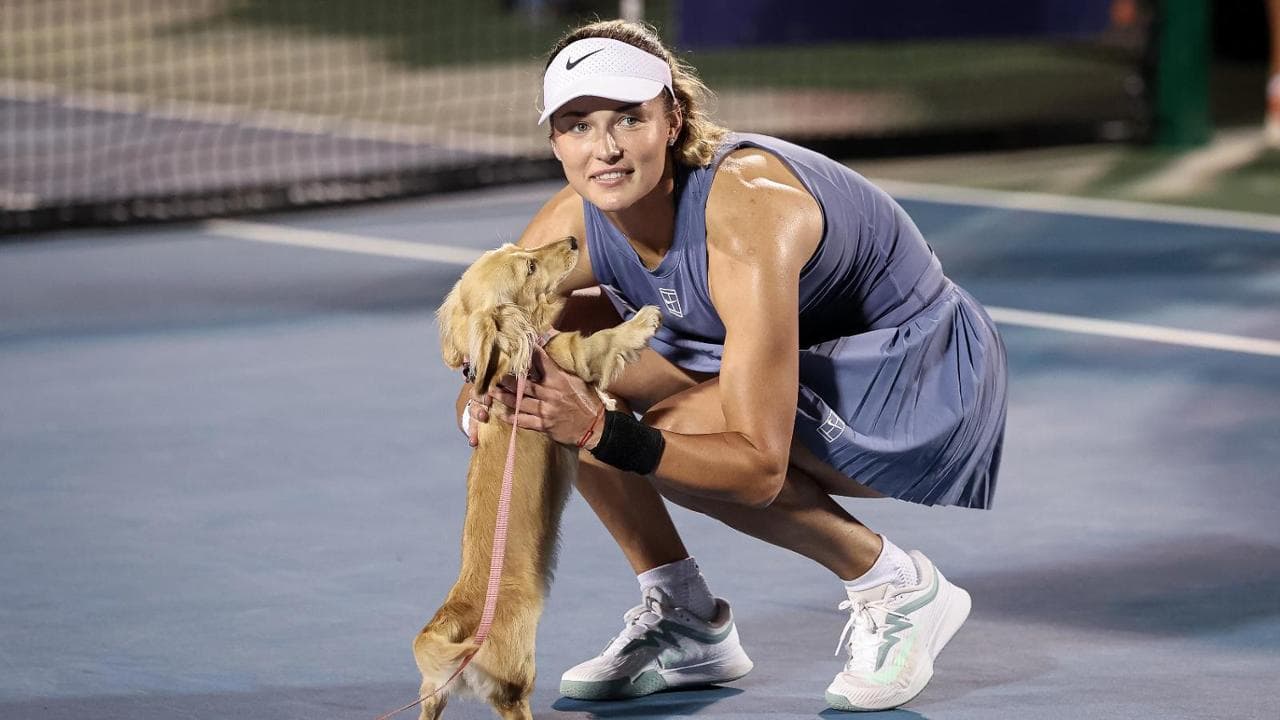 Tennis, l'invasione che non ti aspetti per festeggiare il successo di Anna Kalinskaya a Washington