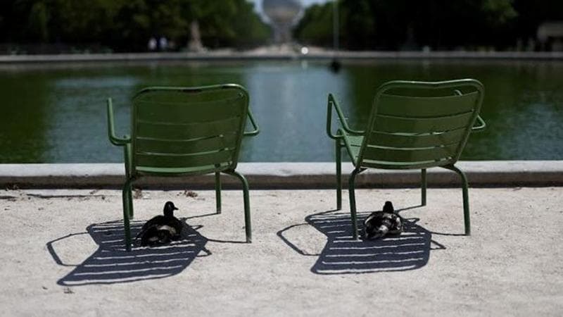 Early heatwave (REUTERS/Tom Nicholson)