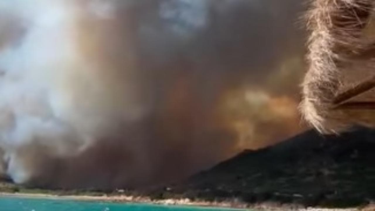 Incendio a Villasimius, bagnanti in fuga: fiamme fino alla spiaggia
