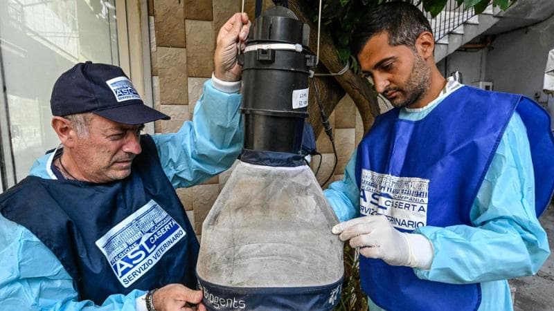 Operatori della Asl  di Caserta  impegnati nella installazione di trappole per le zanzare Culex responsabili del contagio sull'uomo del West Nile ,  24 luglio 2025 ANSA / CIRO FUSCO
