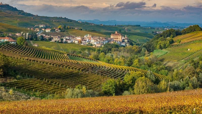 Langhe, Piemonte (Shutterstock)