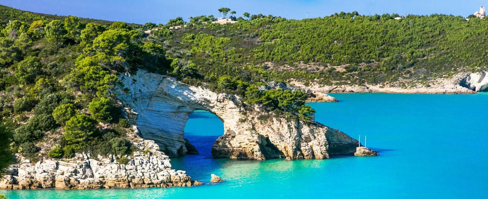 Parco del Gargano, Puglia (Shutterstock)