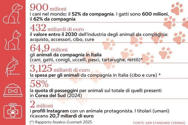 Borsa in Cellophane con stampa a zampa di animale domestico borsa per